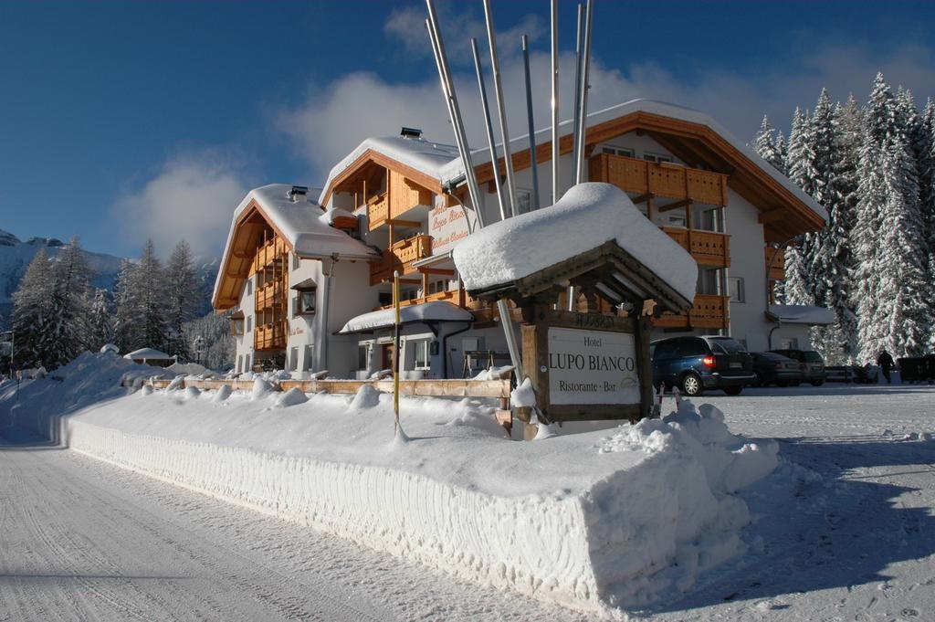 Hotel Lupo Bianco - http://www.hotellupobianco.it